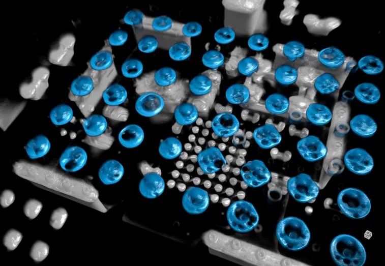 Снимок экрана 2026-03-03 в 20.42.23.png