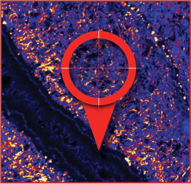 heat-map1.jpeg