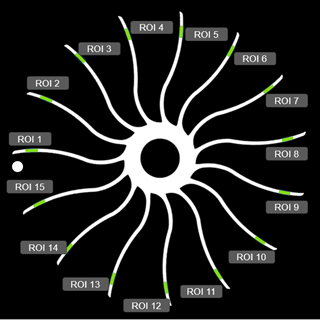 сканирование 5.png